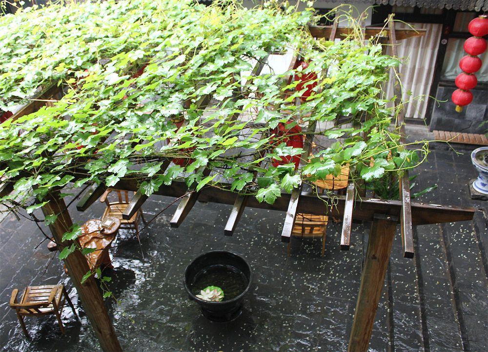 فندق Hill Lily Courtyard بكين المظهر الخارجي الصورة