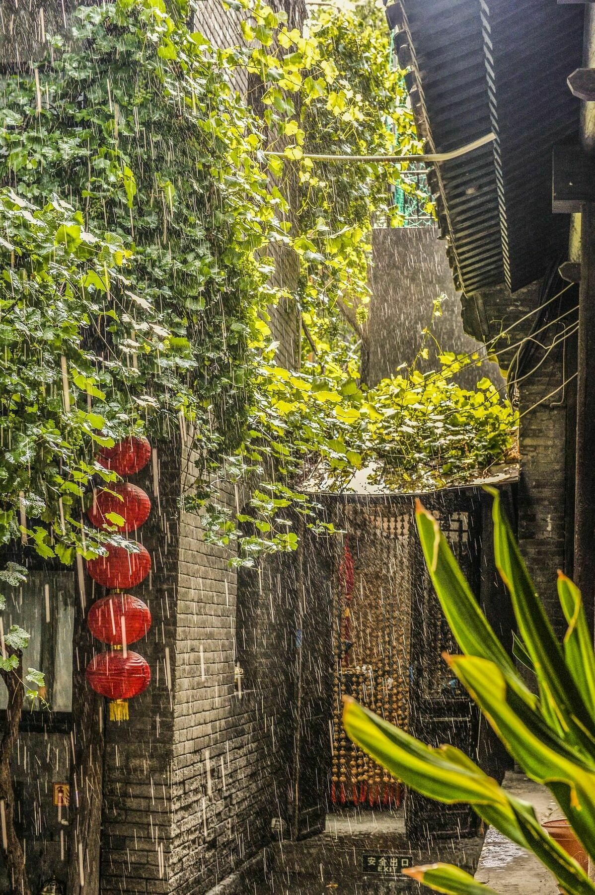 فندق Hill Lily Courtyard بكين المظهر الخارجي الصورة